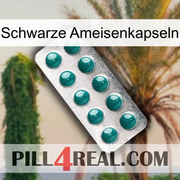 Black Ant Capsules dapoxetine1